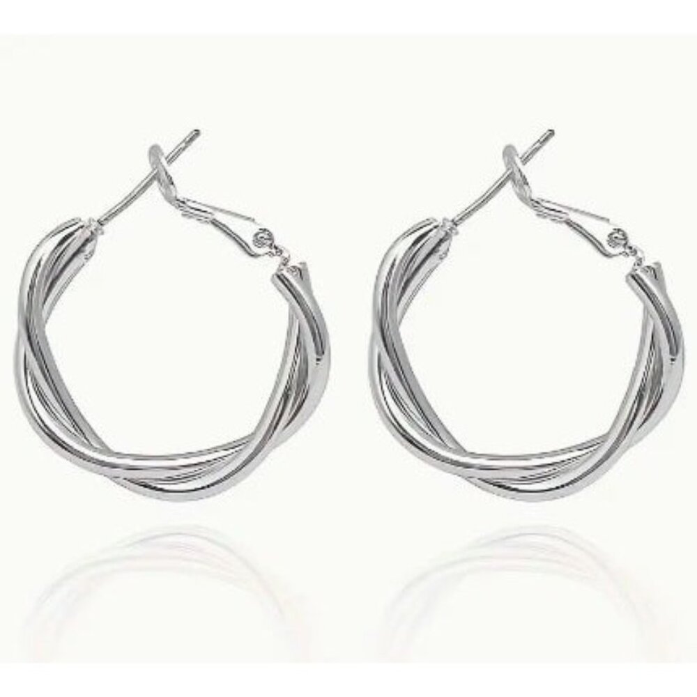Silver Stainless Steel Twisted Double-Layer Hoop Earrings